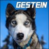 Gestein