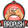 BroPush